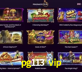 Experimente o Login Seguro Premium no pg113 vip