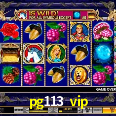 Explore as vantagens do pg113 vip: serviço profissional e confiabilidade